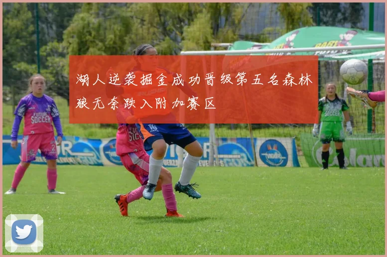 湖人逆袭掘金成功晋级第五名森林狼无奈跌入附加赛区