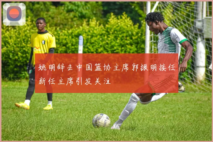 姚明辞去中国篮协主席郭振明接任新任主席引发关注
