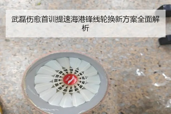 武磊伤愈首训提速海港锋线轮换新方案全面解析 - ManBetX